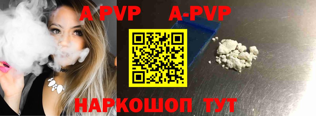 Alfa_PVP СК Гатчина