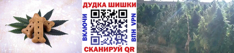 MEGA вход Гатчина Cannafood марихуана где найти