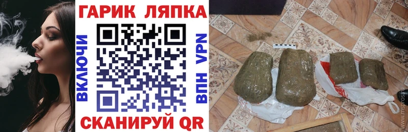 наркота  Гатчина  МЕГА ТОР  ГАШ Cannabis 