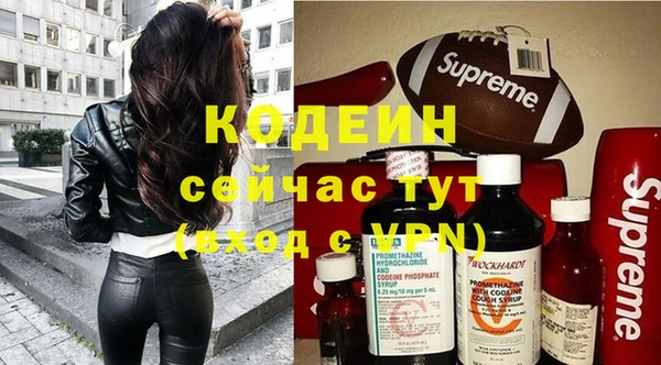 индика Белокуриха