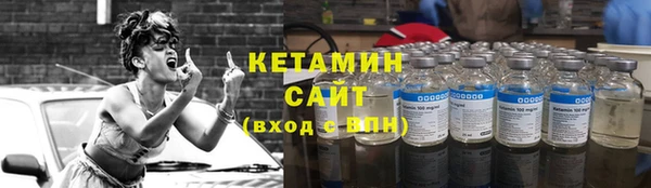 индика Белокуриха