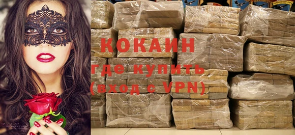 индика Белокуриха