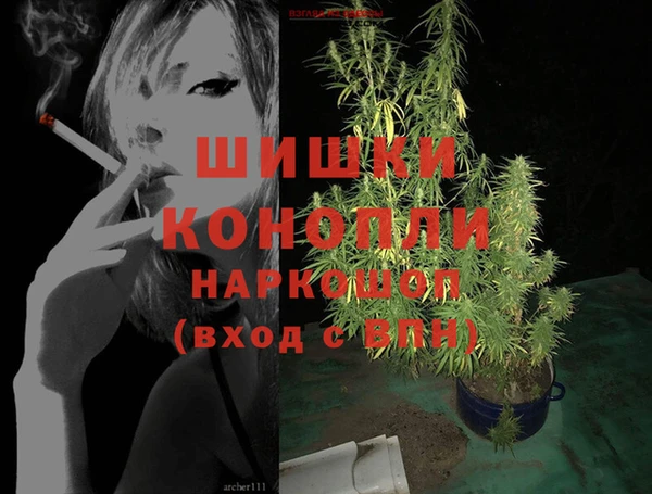 индика Белокуриха