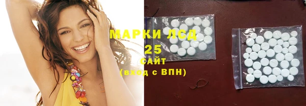 индика Белокуриха