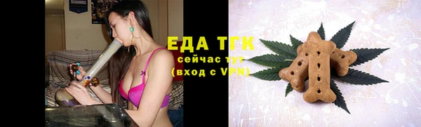 индика Белокуриха