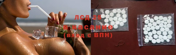 индика Белокуриха