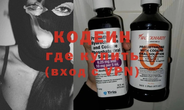 индика Белокуриха