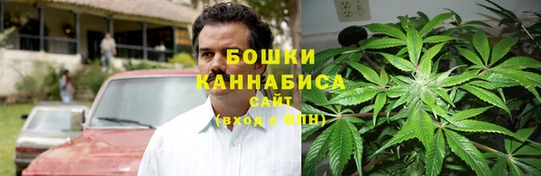 PSILOCYBIN Беломорск