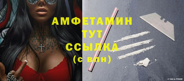 индика Белокуриха
