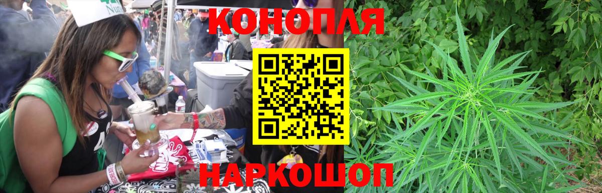 Каннабис SATIVA & INDICA Гатчина